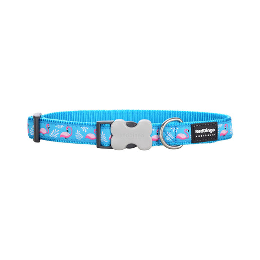 Dog collar Red Dingo STYLE FLAMINGO Turquoise-0