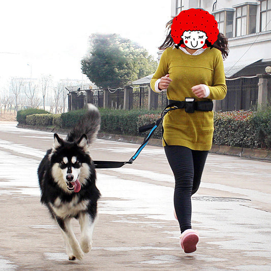 Elastic Reflective Pet Running Traction Belt-0